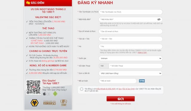 Điền đầy đủ và chính xác các thông tin cần thiết theo biểu mẫu
